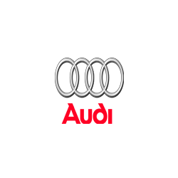 Audi RS7 4.0 TFSI MED17.1.1